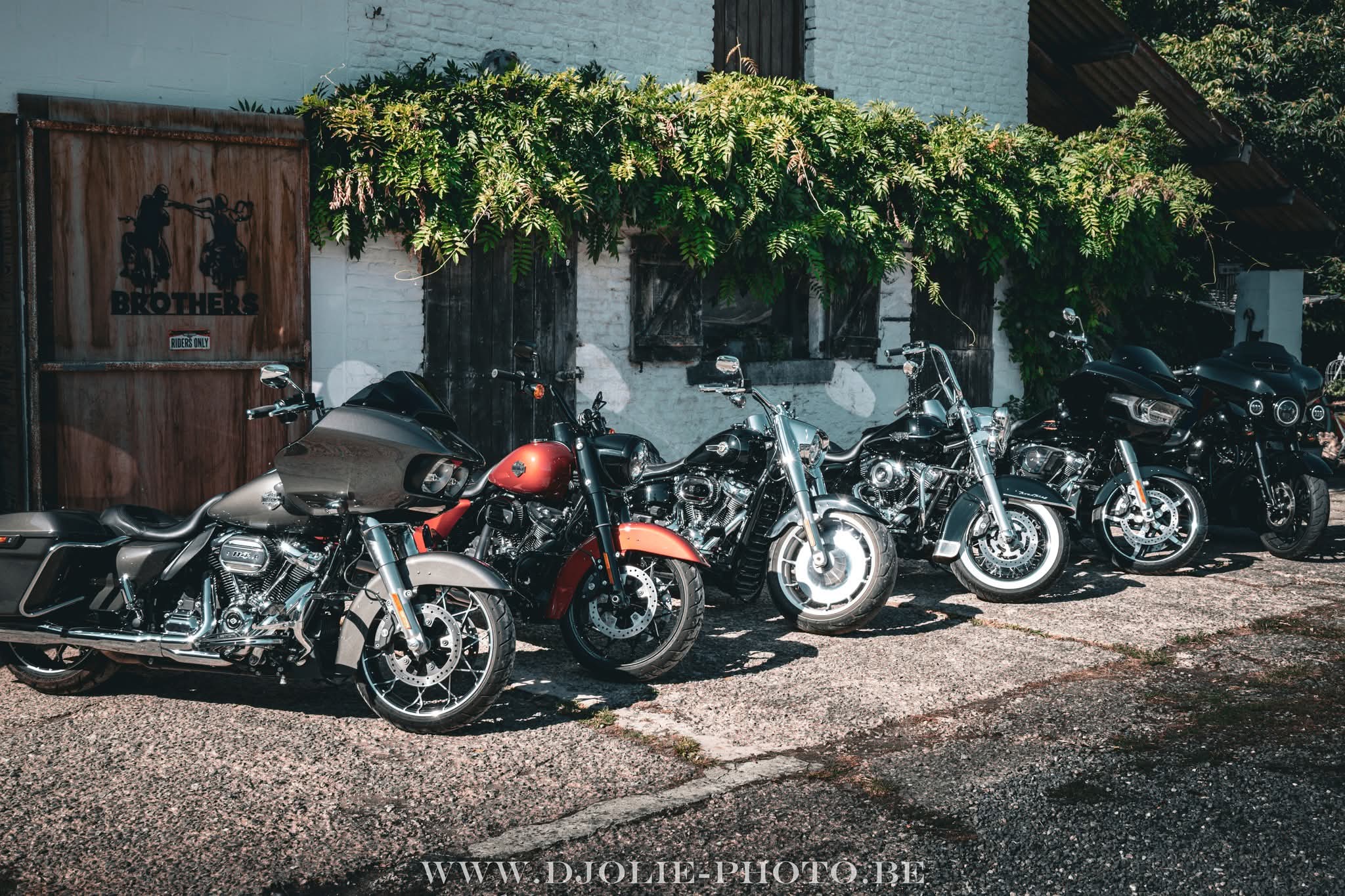 Friend and Ride 🏍️